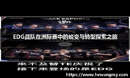 wm365完美体育官方网站