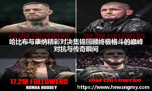 wm365完美体育